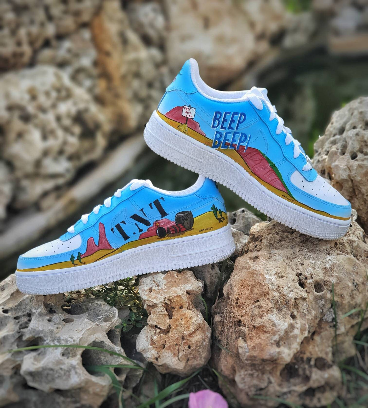 Custom Air force 1 shoes/ Custom Shoes/ Hand painted/ Looney Tunes Custom kicks / Roadrunner/ Coyote/ Looney Tunes/ Cartoon